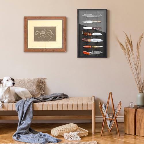 Triceratops - Lockable Knife Display Case for Storage Presentation Black