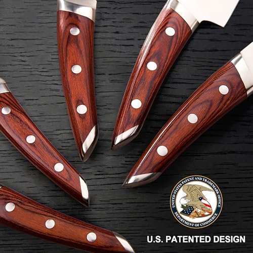 Brewin CHEFILOSOPHI 5-Piece Professional Chef Knife Set